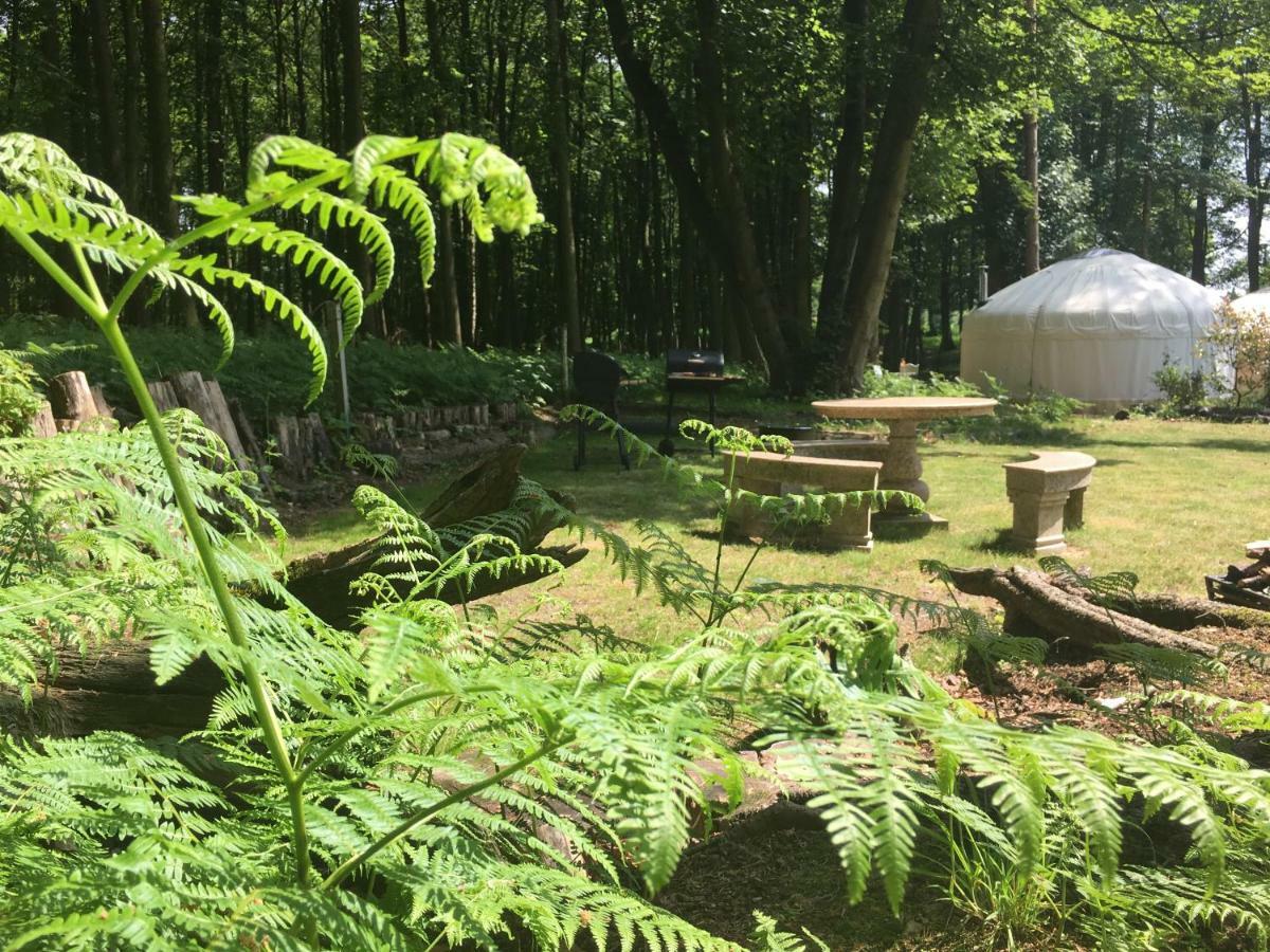 Gingerbread Cottage Yurts Dereham Exterior foto
